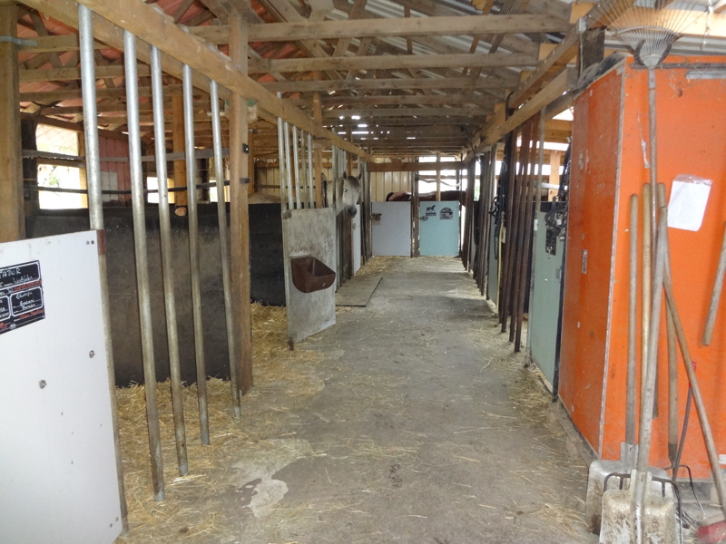 Pferdepension-Spitzbarth reitstall