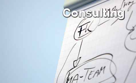 turn-tec consulting