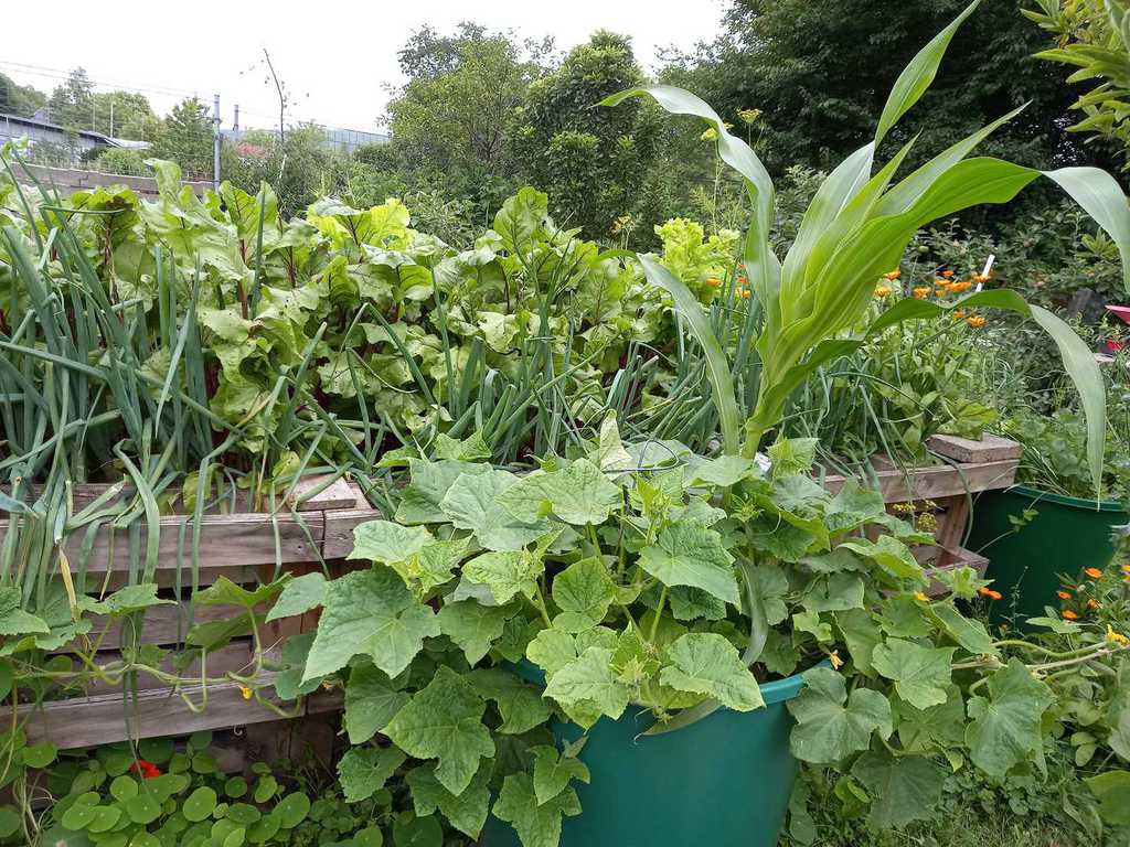 Garten